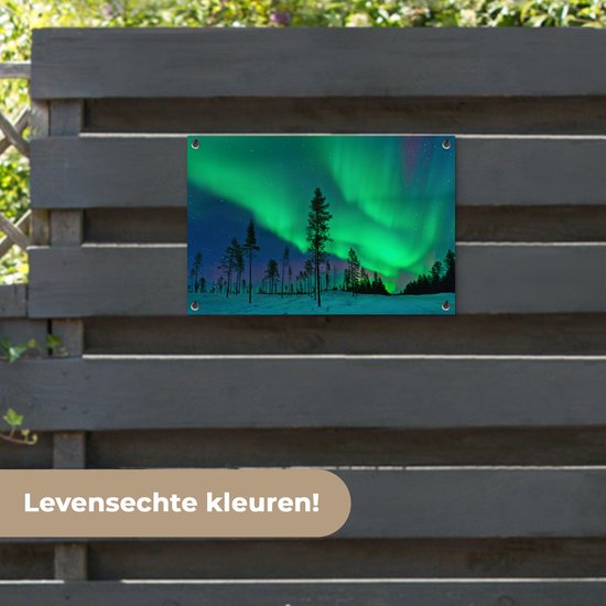 Northern Lights above Sweden Garden poster 60x40 cm - petit - Toile de jardin / Toile d'extérieur / Peintures d'extérieur (décoration de jardin)