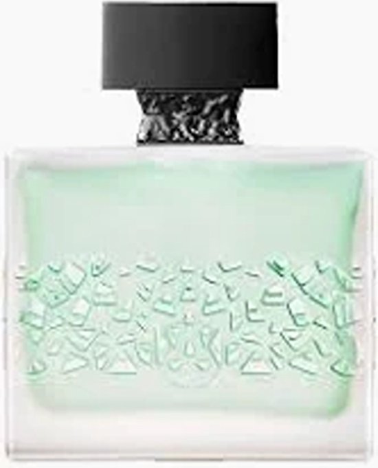 M. Micallef GNTONIC eau de parfum voor heren - Houtachtig Kruidige geur - 100ml