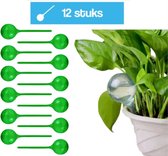 DIVERZA Waterdruppelaar voor planten 12 stuks – Groen – Kamerplanten – Buitenplanten - Waterbol – Automatisch Watergeefsysteem – Druppelsysteem – 250 ML