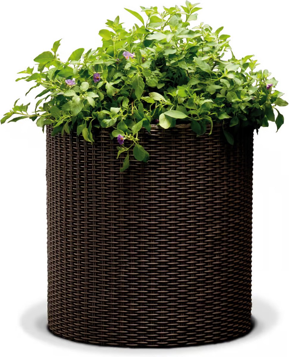 Keter - Decoratieve bloempot Cilinder 36x36x37.3cm kunststof/bruin