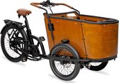 Aitour Wee Granite MC, vélo cargo électrique, moyeu Nuvinci 330, 48V, 13,4 Ah