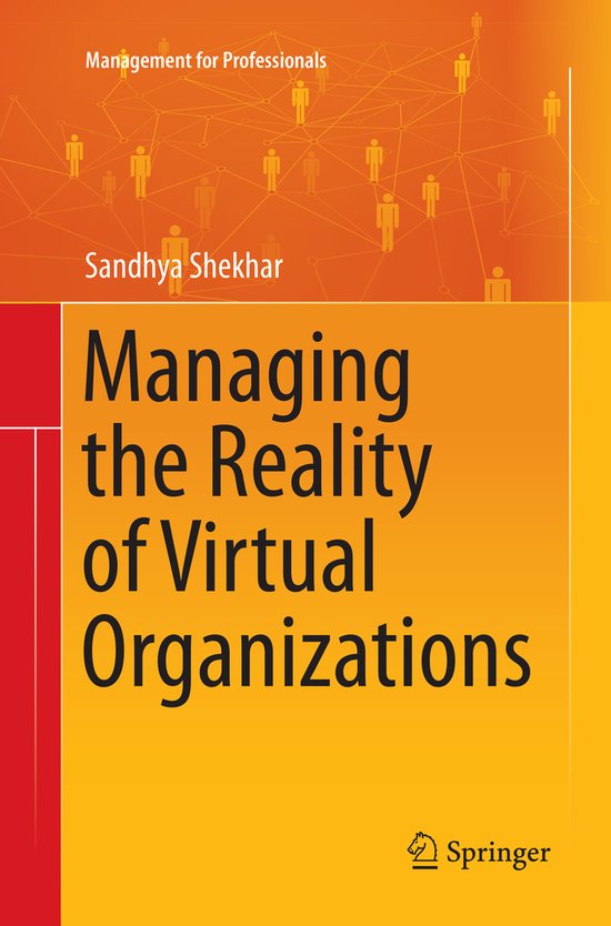 Management for Professionals- Managing the Reality of Virtua ... - cover