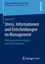 Stress Informationen und Entscheidungen im Management