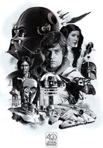 Poster Star Wars 91,5x61 cm