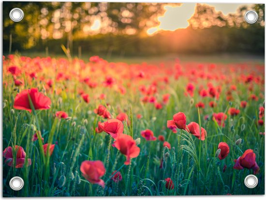 Tuinposter – Klaprozen in een Veld met Mooie Belichting achter de Bomen - 40x30 cm Foto op Tuinposter (wanddecoratie voor buiten en binnen)