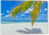 Acrylglas - Palmbladeren Hangend voor Tropisch Eiland met Breed Strand - 40x30 cm Foto op Acrylglas (Met Ophangsysteem)
