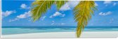 Acrylglas - Palmbladeren Hangend voor Tropisch Eiland met Breed Strand - 60x20 cm Foto op Acrylglas (Met Ophangsysteem)