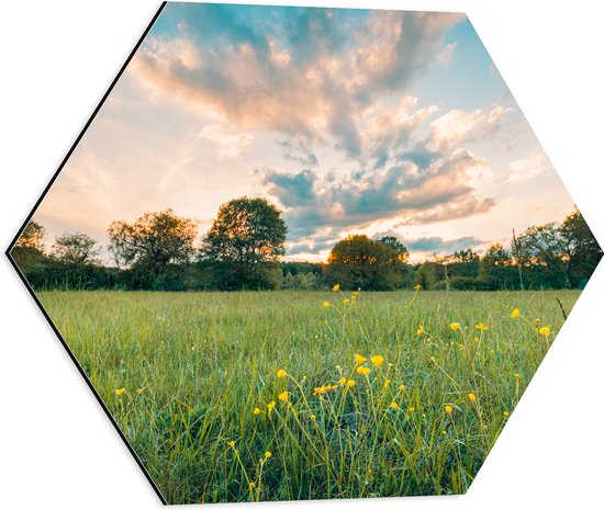 Dibond Hexagon - Zonsondergang onder een Landschap met Gele Bloemen - 50x43.5 cm Foto op Hexagon (Met Ophangsysteem)