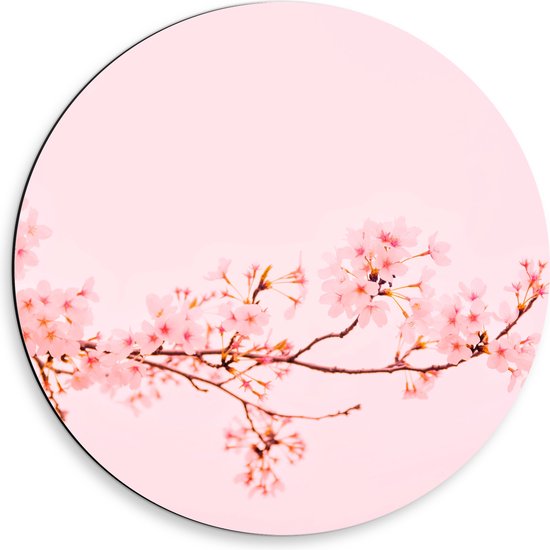 WallClassics - Cercle mural Dibond - Branche de fleurs roses sur fond rose pastel - Photo 50x50 cm sur cercle mural en aluminium (avec système d'accrochage)