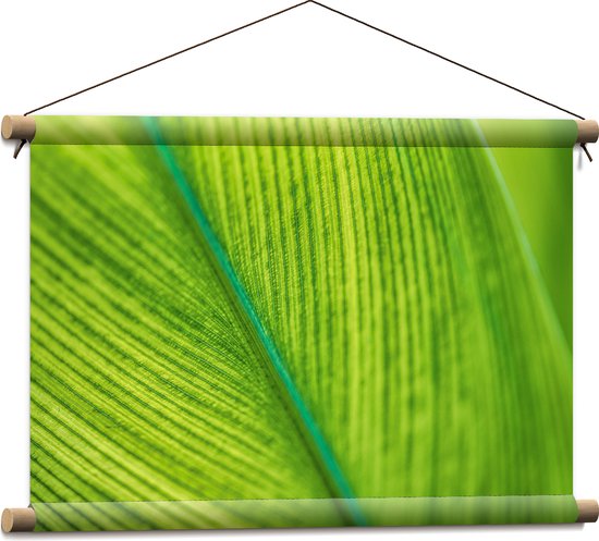 Textielposter - Close-up van Groen Blad met Zichtbare Nerven - 60x40 cm Foto op Textiel