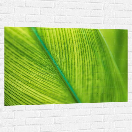 Muursticker - Close-up van Groen Blad met Zichtbare Nerven - 120x80 cm Foto op Muursticker