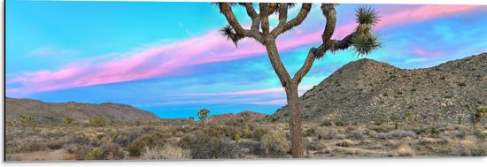 Dibond - Landschap met Prachtig Roze en Blauw Gekleurde Lucht - 90x30 cm Foto op Aluminium (Met Ophangsysteem)