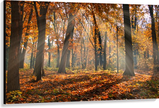 Canvas - Bos in de Herfst met Zonnestralen door de Bomen - 150x100 cm Foto op Canvas Schilderij (Wanddecoratie op Canvas)