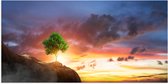 Poster Glanzend – Fel Groen Gekleurde Boom met Prachtige Zonsondergang op een Berglandschap - 100x50 cm Foto op Posterpapier met Glanzende Afwerking