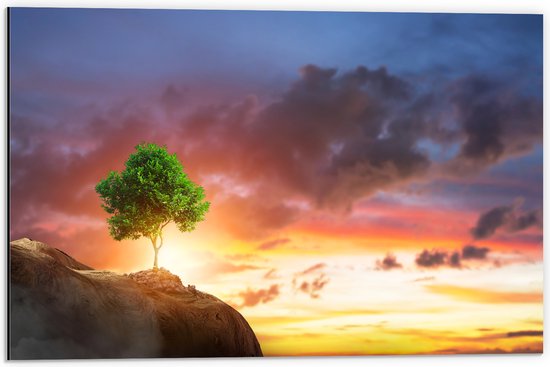 Dibond - Fel Groen Gekleurde Boom met Prachtige Zonsondergang op een Berglandschap - 60x40 cm Foto op Aluminium (Met Ophangsysteem)