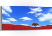 Hout - Kleurrijk Rood Gekleurd Landschap met Blauwe Lucht - 100x50 cm - 9 mm dik - Foto op Hout (Met Ophangsysteem)