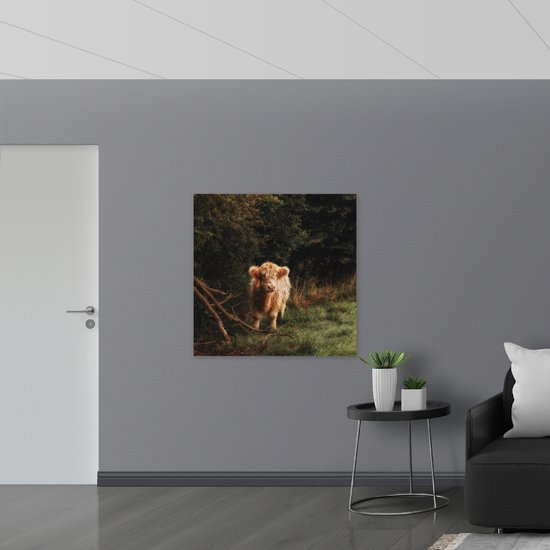 WallClassics - Plaque de Mousse PVC - Highlander écossais marron moelleux dans une forêt envahie - 100x100 cm Photo sur Plaque de Mousse PVC (Avec Système de Suspension)