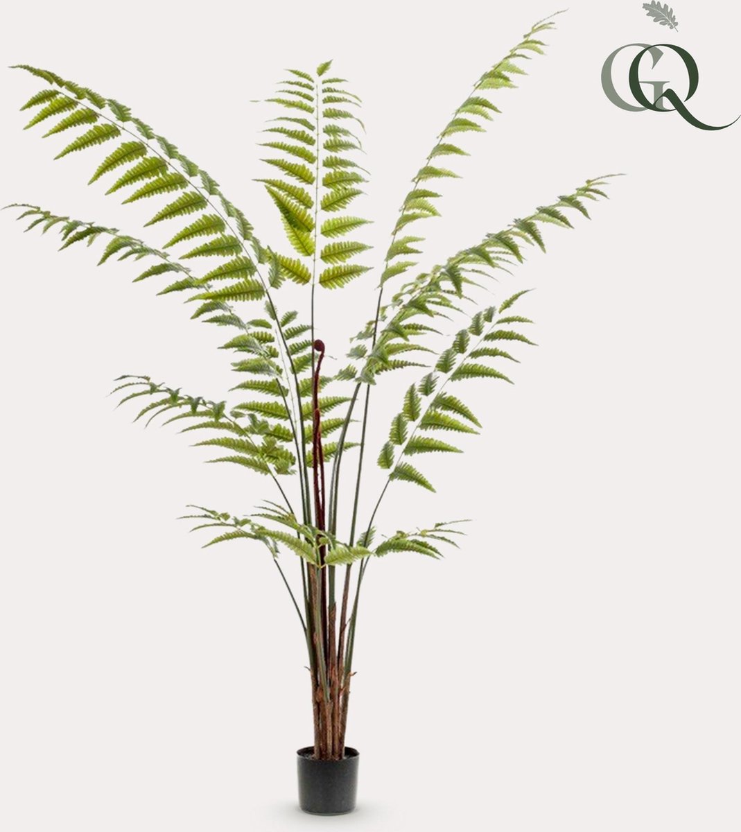 Green Harmony Plants Kunstplant - Rumohra Adiantiformis - Ledervaren - 180 cm Bruin
