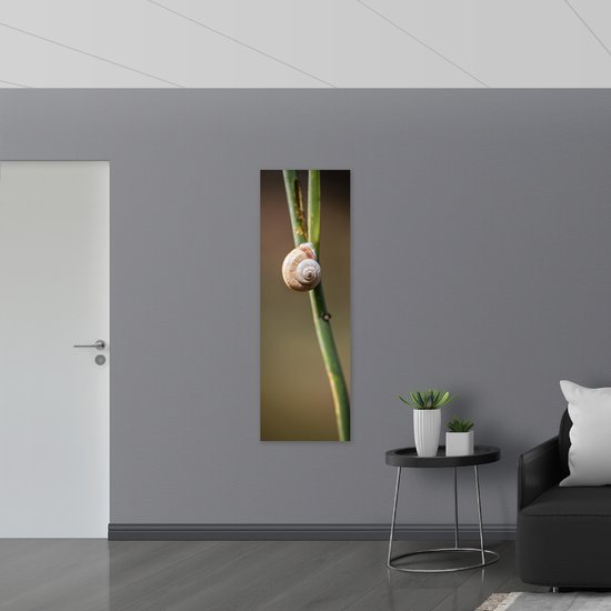 WallClassics - Panneau en mousse PVC - Escargot marron sur branche verte étroite - 50x150 cm Photo sur panneau en mousse PVC (avec système de suspension)