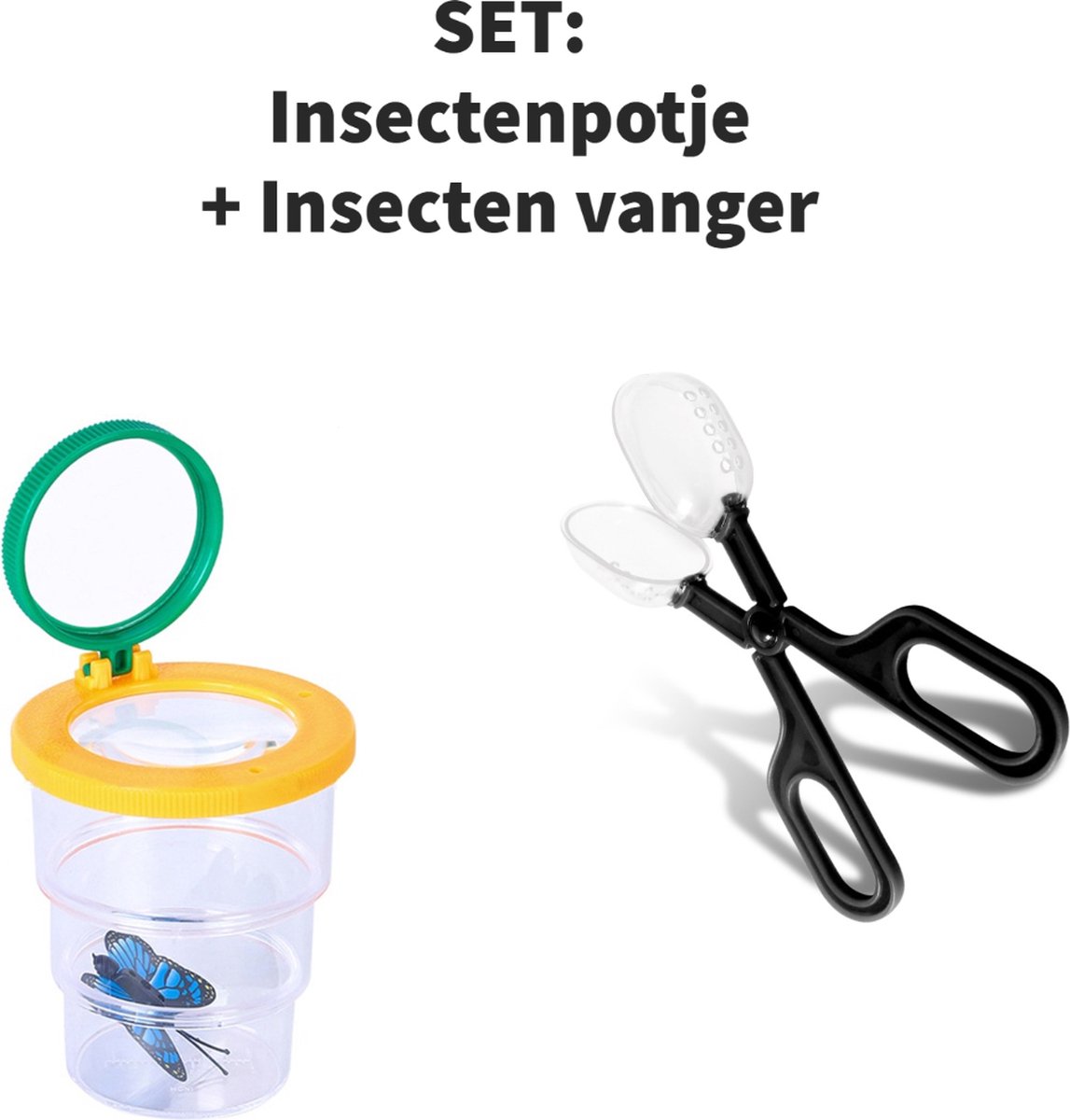Insecten potje met vergroting door de loep aan de bovenkant. Doorsnede