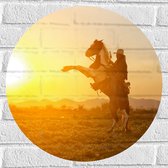 Muursticker Cirkel - Felle Grote Zon achter Stijgerend Paard met Cowboy - 50x50 cm Foto op Muursticker