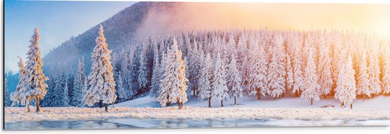 Dibond - Felle Zon over het IJs bij Sneeuwbomen in Landschap - 90x30 cm Foto op Aluminium (Met Ophangsysteem)