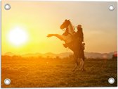 Tuinposter – Felle Grote Zon achter Stijgerend Paard met Cowboy - 40x30 cm Foto op Tuinposter (wanddecoratie voor buiten en binnen)