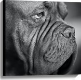 WallClassics - Canvas - Kwijlende Hond (Zwart- wit) - 60x60 cm Foto op Canvas Schilderij (Wanddecoratie op Canvas)