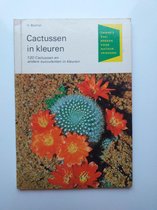 Cactussen in kleuren