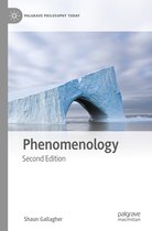 Palgrave Philosophy Today- Phenomenology