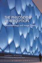 Philosophy Of Perception