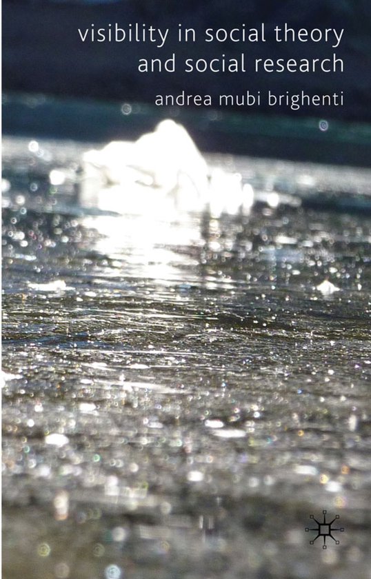 Visibility in Social Theory and Social Research - cover