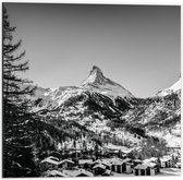 WallClassics - Dibond - Grote Boom voor Sneeuwbergen (zwart/ wit) - 50x50 cm Foto op Aluminium (Met Ophangsysteem)