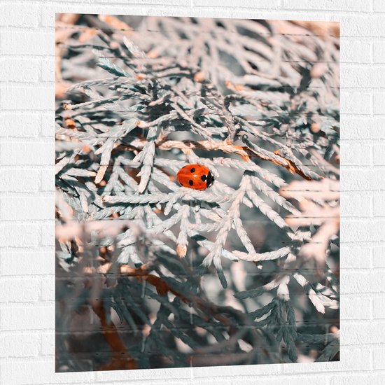 WallClassics - Muursticker - Close-up van Lieveheersbeestje op Witte Takken van Bomen - 75x100 cm Foto op Muursticker