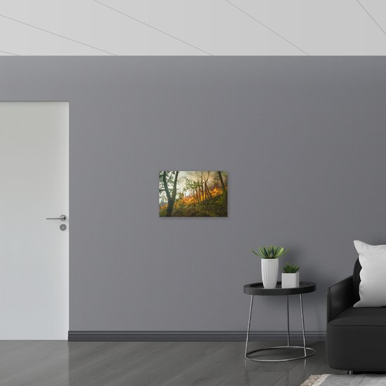 WallClassics - Feuille de mousse PVC - Brand à travers les Arbres dans la forêt - 60x40 cm Photo sur feuille de mousse PVC