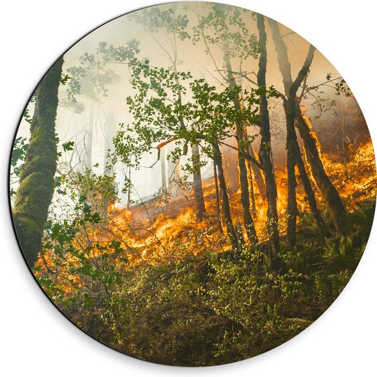 WallClassics - Dibond Muurcirkel - Brand door Bomen in het Bos - 30x30 cm Foto op Aluminium Muurcirkel (met ophangsysteem)