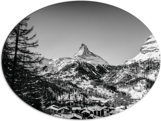 WallClassics - Dibond Ovaal - Grote Boom voor Sneeuwbergen (zwart/ wit) - 68x51 cm Foto op Ovaal (Met Ophangsysteem)