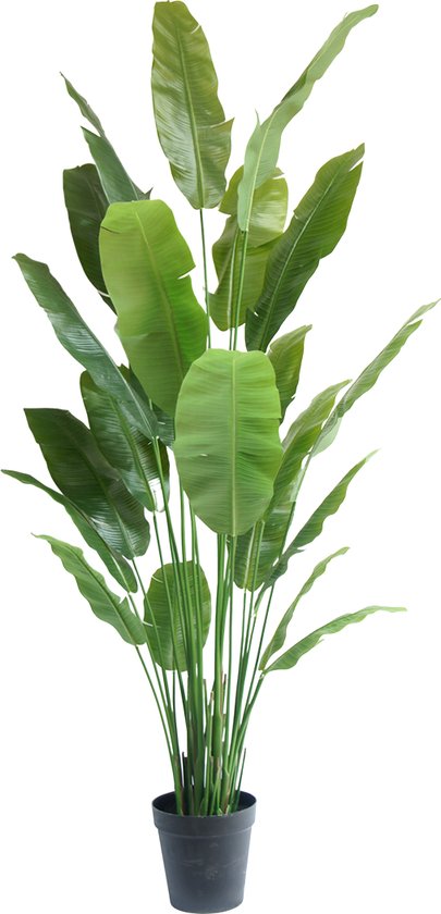 Greenmoods Kunstplanten - Kunstplanten - Strelitzia Nicolai Deluxe - Zijde - 240 cm