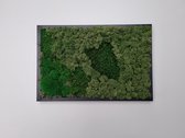 Een 60 x 40 cm handgemaakt Mosschilderij uit een mosmix van Noors Rendiermos in de kleur “ Middelgreen ” en Plat-& Bolmos in de kleur "Mossgreen" in een zwarte houten lijst.