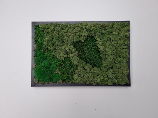 Een 60 x 40 cm handgemaakt Mosschilderij uit een mosmix van Noors Rendiermos in de kleur “ Middelgreen ” en Plat-& Bolmos in de kleur 