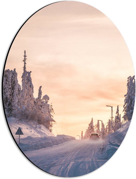WallClassics - Dibond Ovaal - Auto rijdend door Sneeuwgebied - 30x40 cm Foto op Ovaal (Met Ophangsysteem)