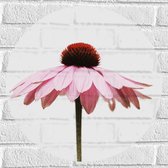 WallClassics - Muursticker Cirkel - Zijaanzicht van Roze Bloem - 50x50 cm Foto op Muursticker