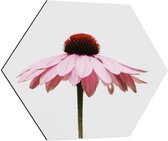 WallClassics - Dibond Hexagon - Zijaanzicht van Roze Bloem - 70x60.9 cm Foto op Hexagon (Met Ophangsysteem)