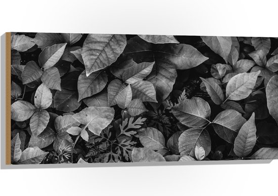 Hout - Zwart-Wit Foto van Bladeren - 100x50 cm - 9 mm dik - Foto op Hout (Met Ophangsysteem)