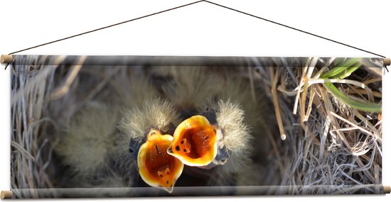 Textielposter - Baby Vogels in Nest met Open Bek voor Eten - 120x40 cm Foto op Textiel