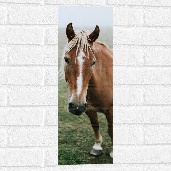 Muursticker - Bruin Paard met Witte Aftekening in Groen Grasveld - 20x60 cm Foto op Muursticker