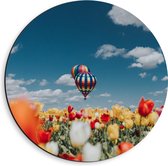 Dibond Muurcirkel - Twee Luchtballonnen boven Meerkleurig Tulpenveld - 40x40 cm Foto op Aluminium Muurcirkel (met ophangsysteem)