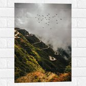 Muursticker - Vogels boven Kronkelpad op Berg - 40x60 cm Foto op Muursticker