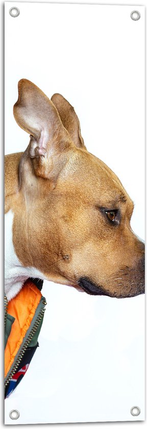 Tuinposter – Bruin met Witte Hond in Groen Bomberjack op Witte Achtergrond - 30x90 cm Foto op Tuinposter (wanddecoratie voor buiten en binnen)