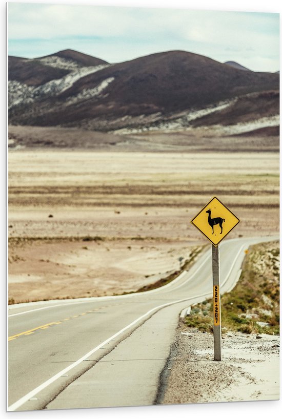 PVC Schuimplaat - Weg naar Bruine Bergen - 80x120 cm Foto op PVC Schuimplaat (Met Ophangsysteem)